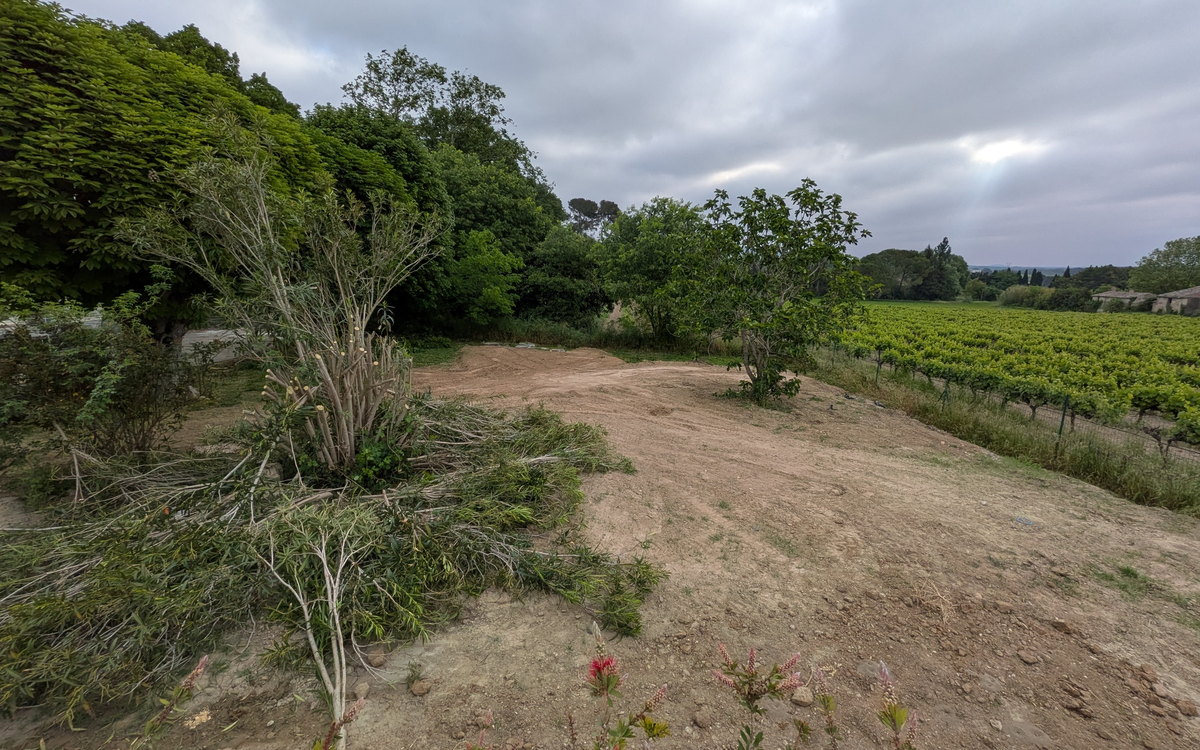 Le terrain avant travaux : friche débroussaillée en bordure de vignes